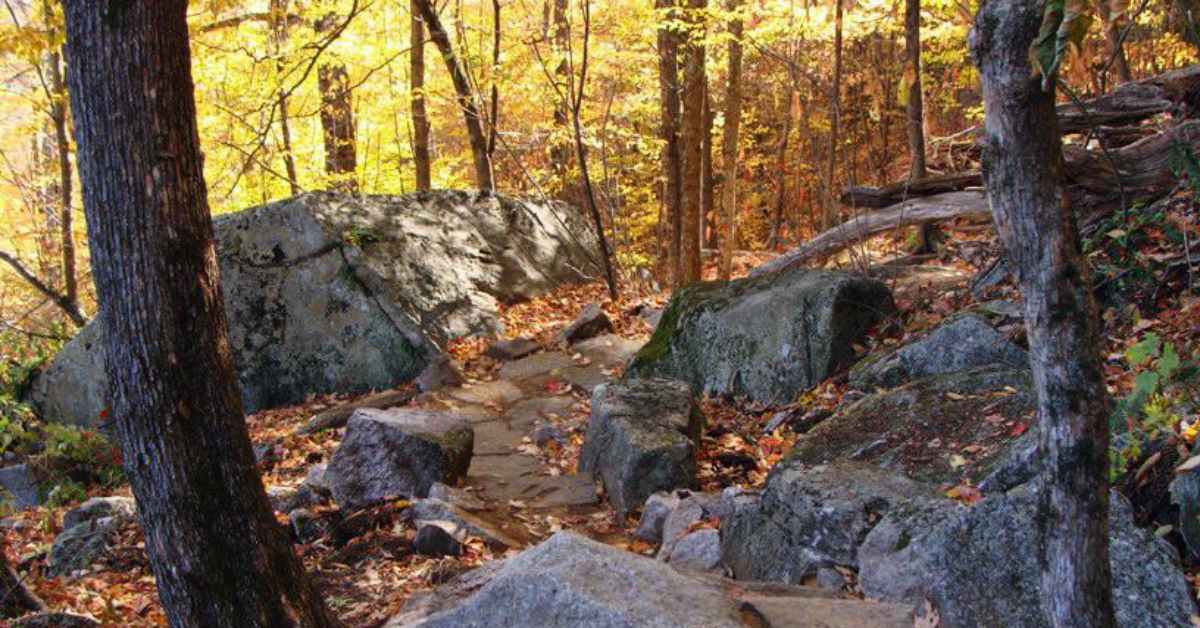 a trail on poke-o-moonshine mountain