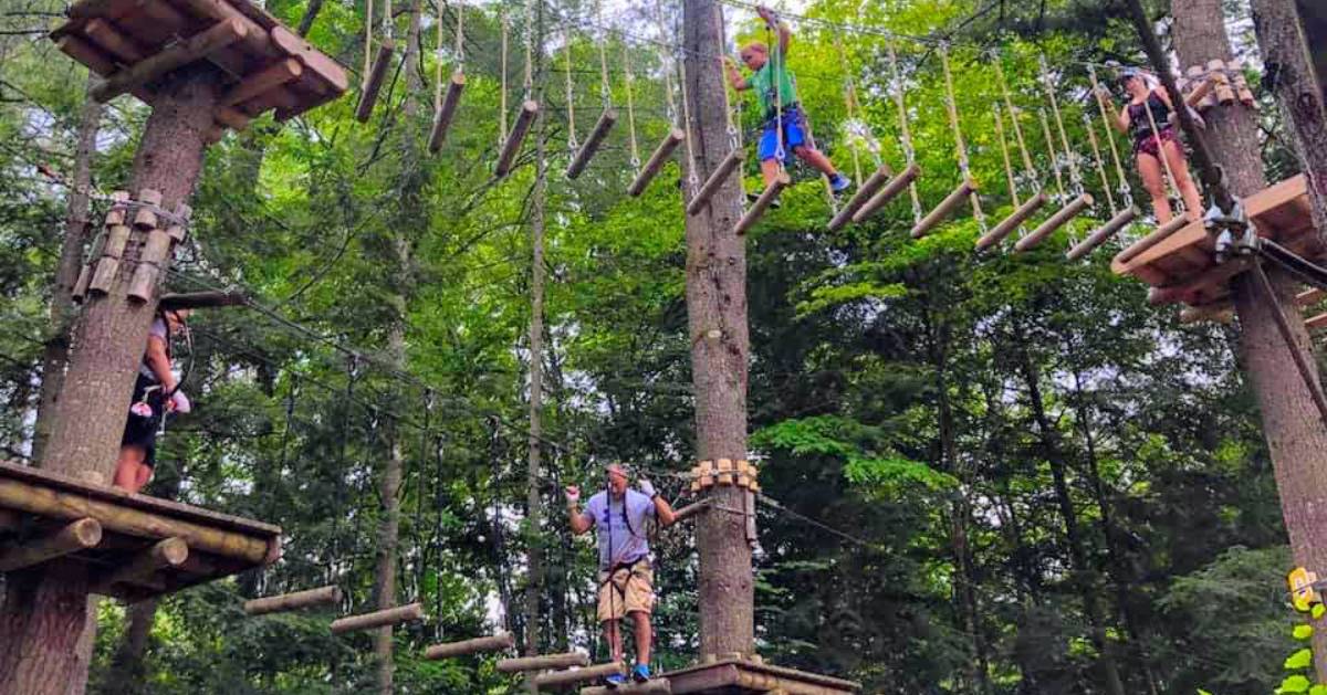 people on a treetop adventure course