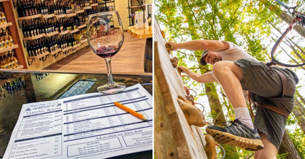 split image with wine and wine tasting sheet on the left and a person on a treetop course on the right