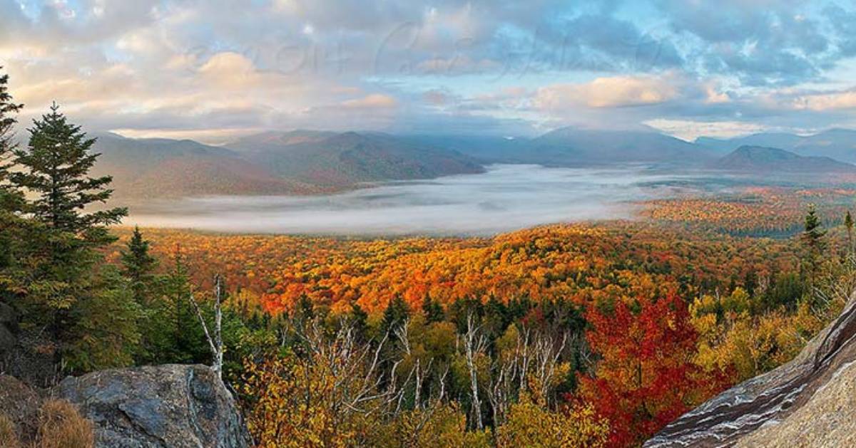 fall foliage view from summit