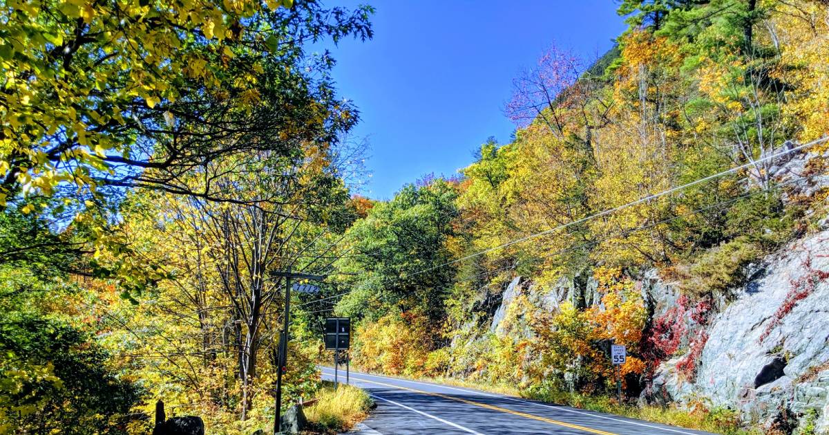 road with fall foliage