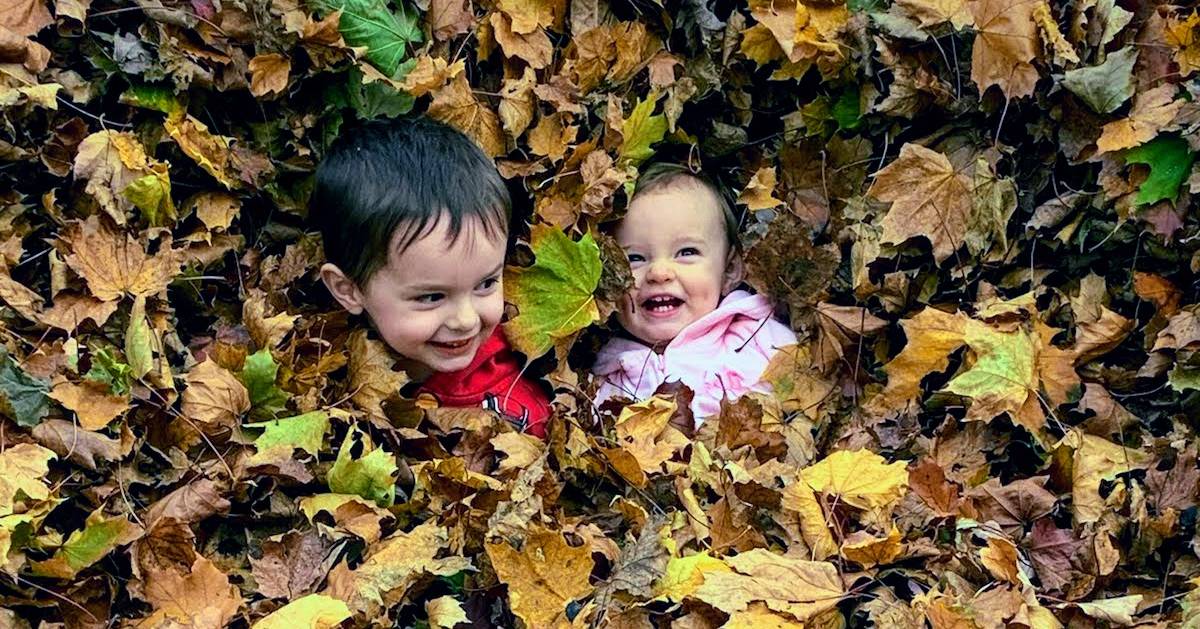 two toddlers in a leaf pile