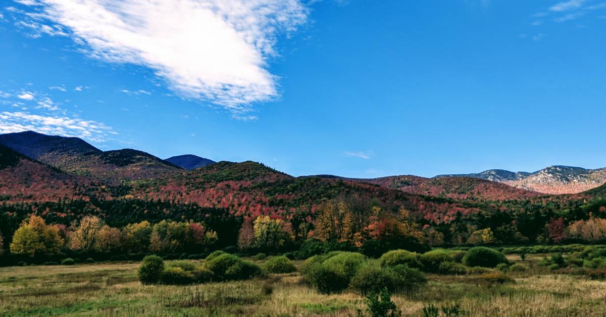 view of mountains with fall foliage