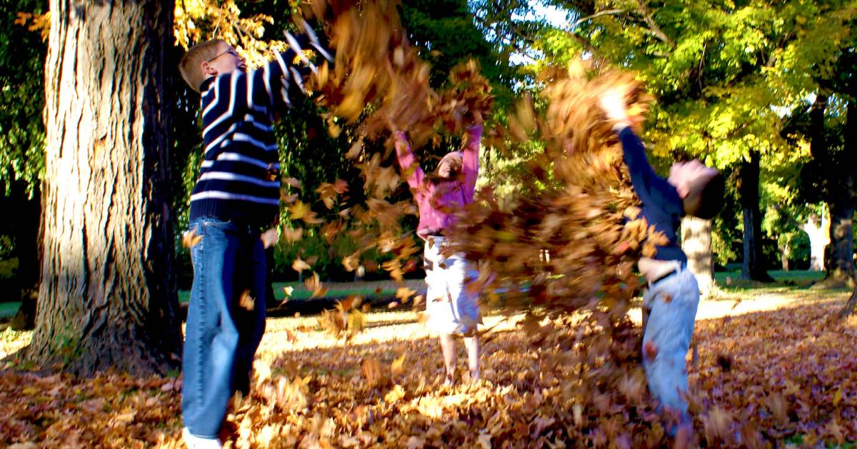 three kids playing with leaves