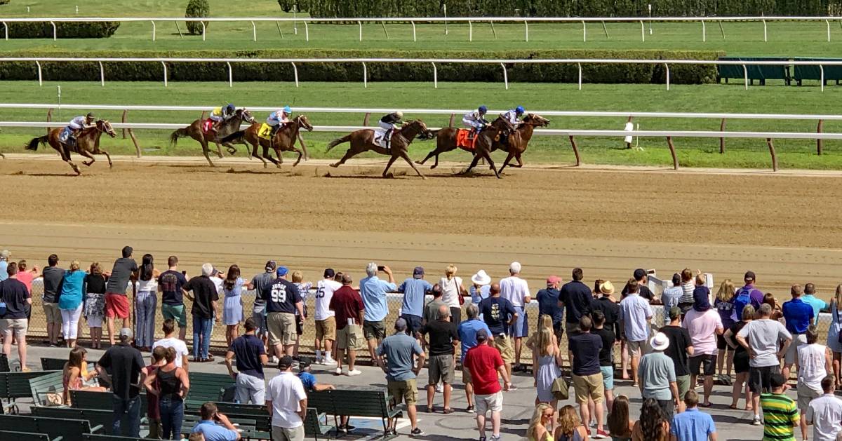 crowd watching a horse race