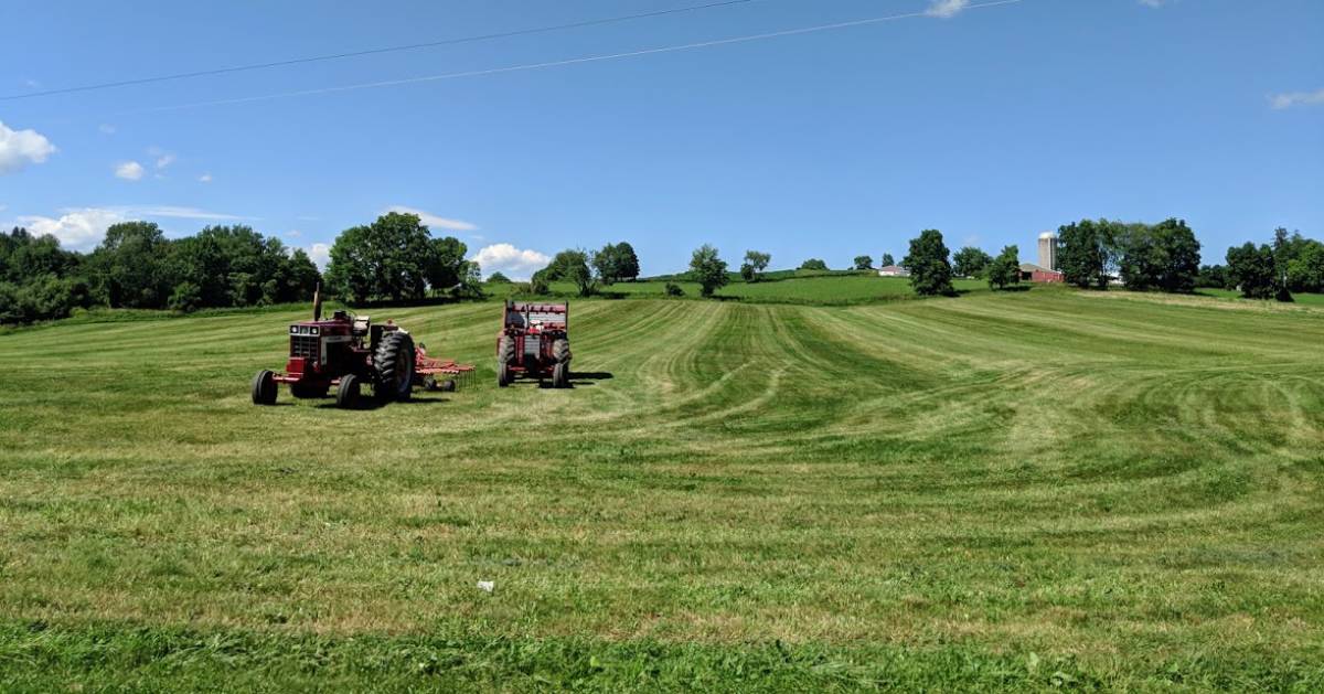 tractor in a field on a beautiful day