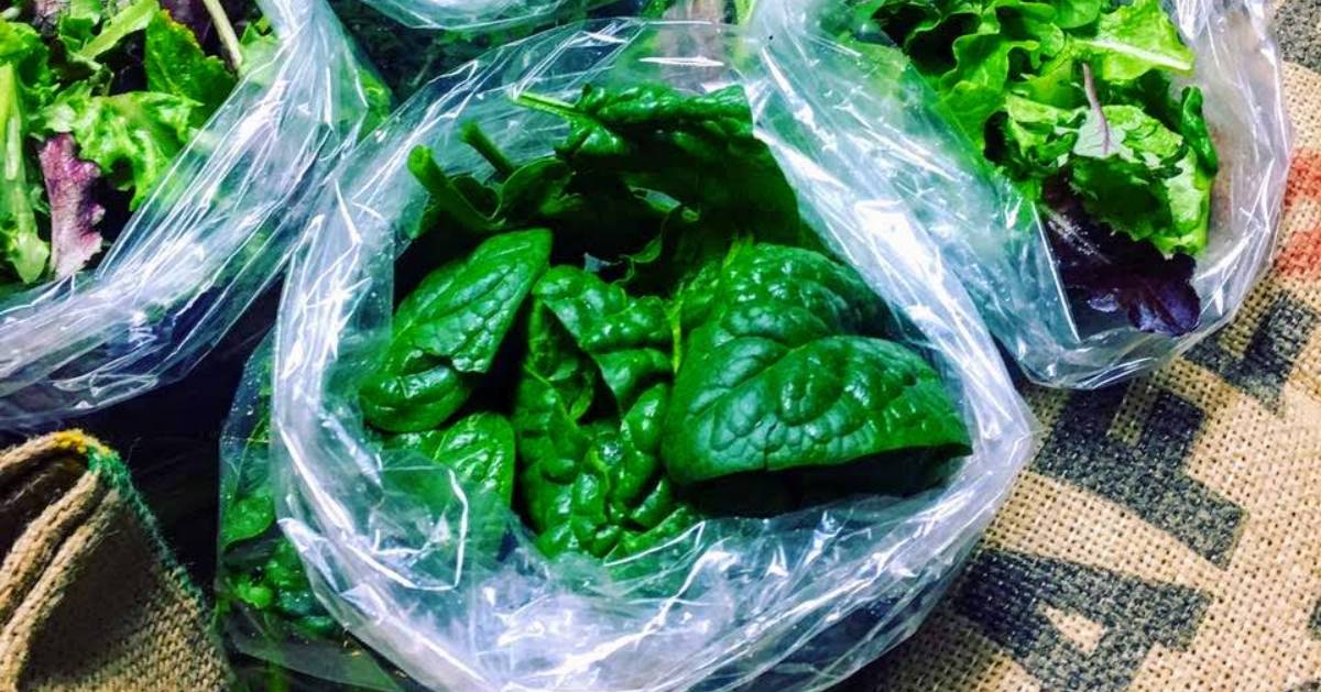 fresh spinach in bags