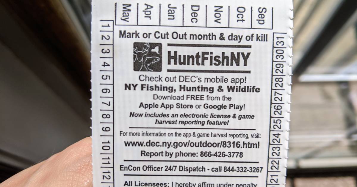 What you need to know to get a fishing license in NYC