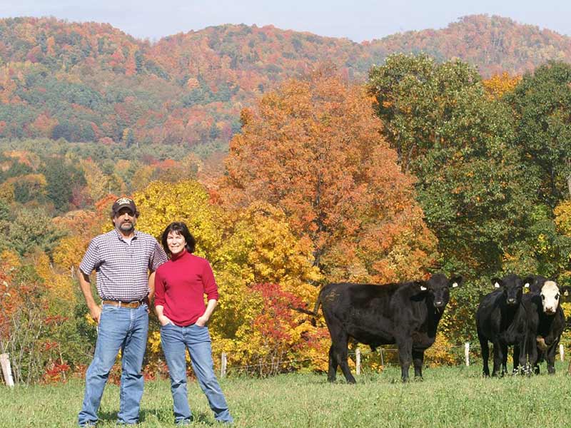 two people standing in front of cows