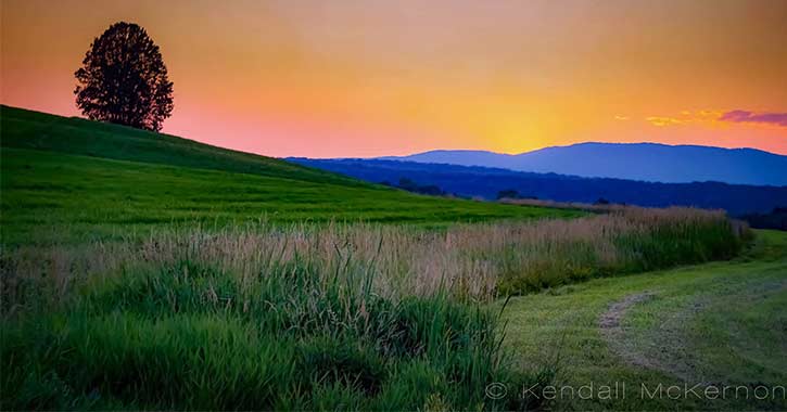 scenic field at sunset