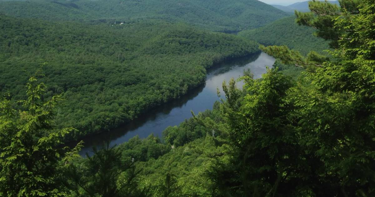 overhead view of forests and waterway