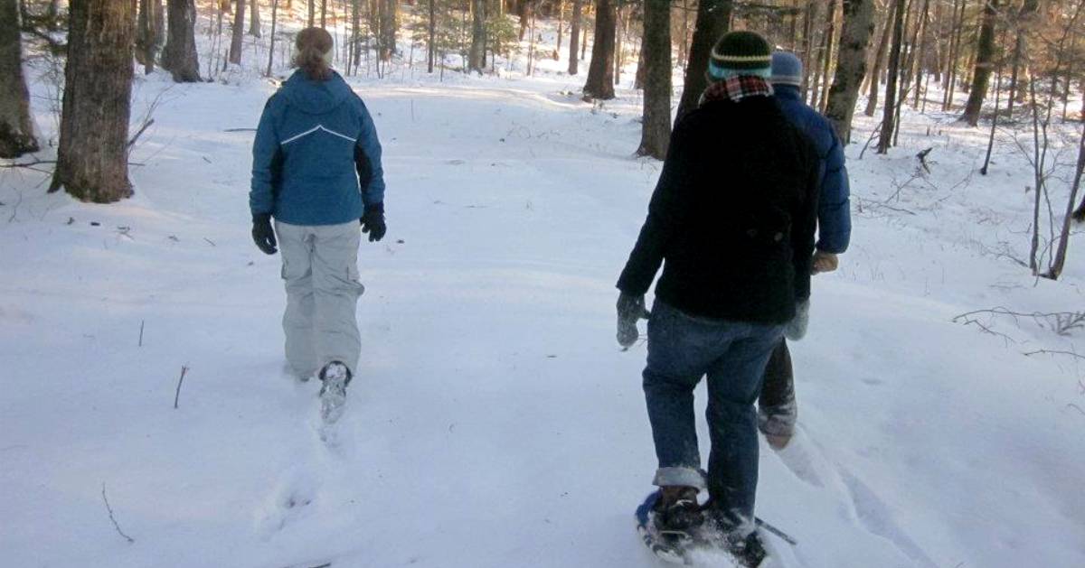 three people on a snowshoe hike