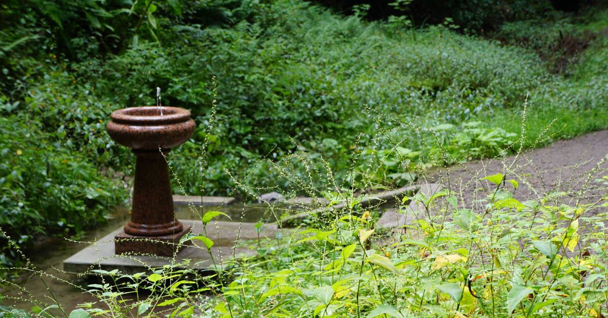 a mineral spring in a park