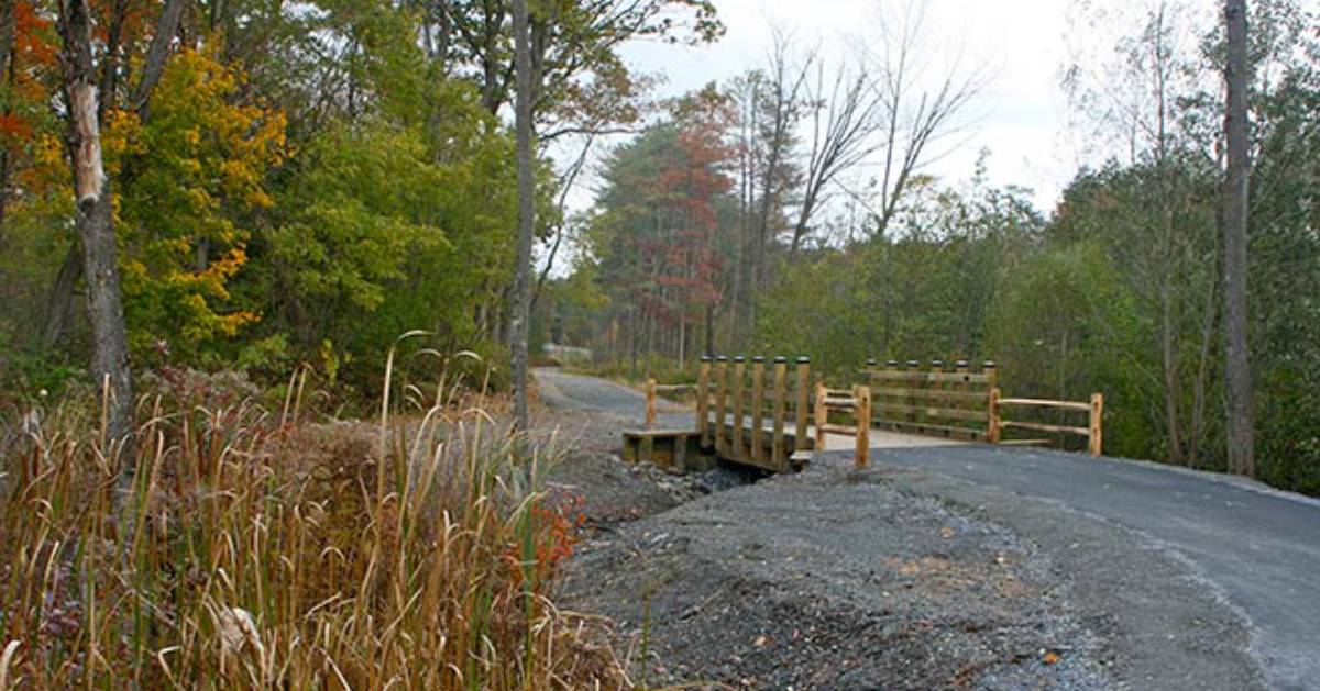 bridge on the spring run trail