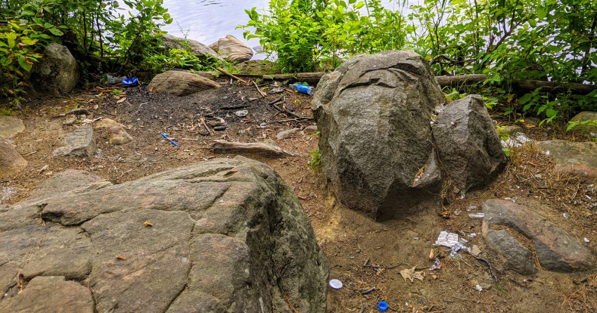 trash in woods by water