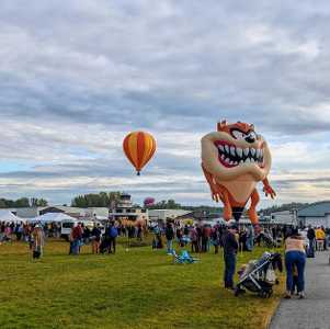 people and hot air balloons at festival