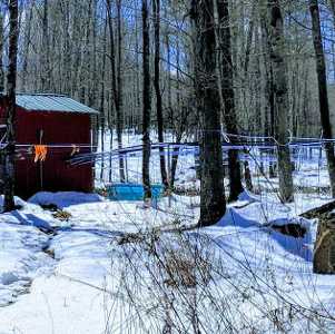 shack