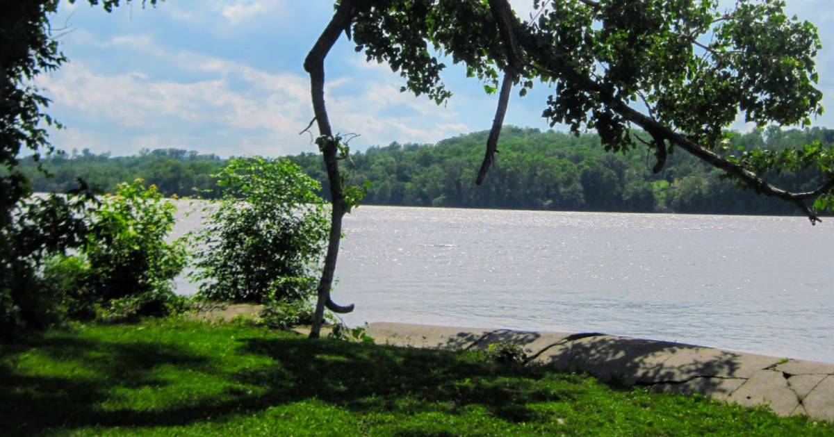 view of water from grass