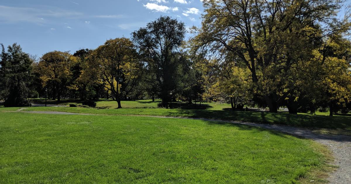 trail through park