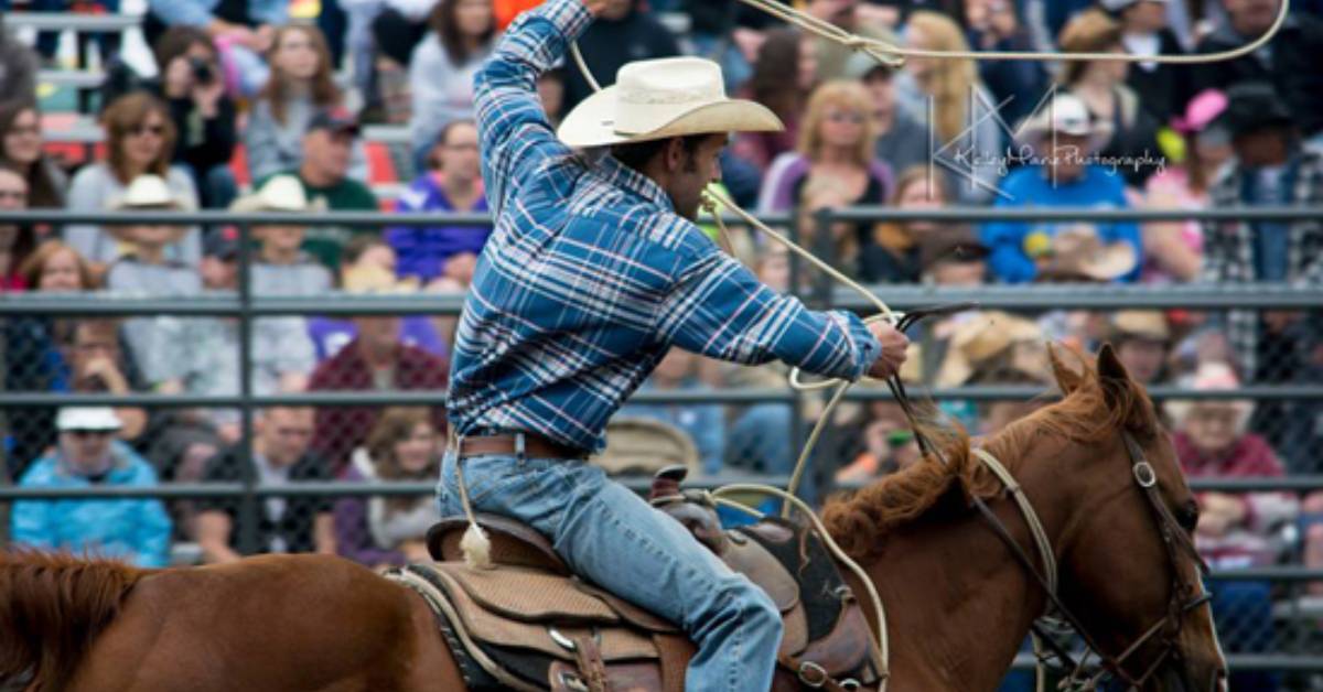 cowboy at a rodeo