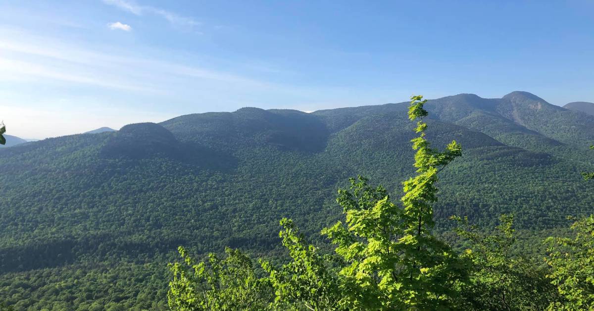 scenic view of mountains in the summer