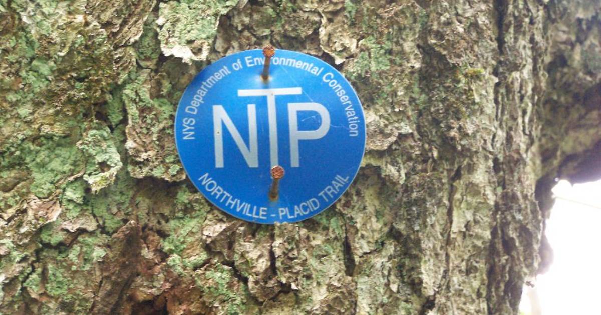 Northville-Placid Trail marker on tree