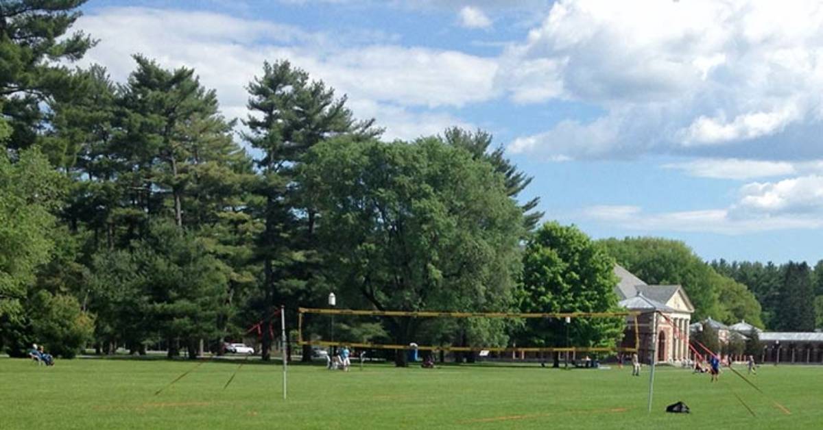 volleyball net set up on grassy area