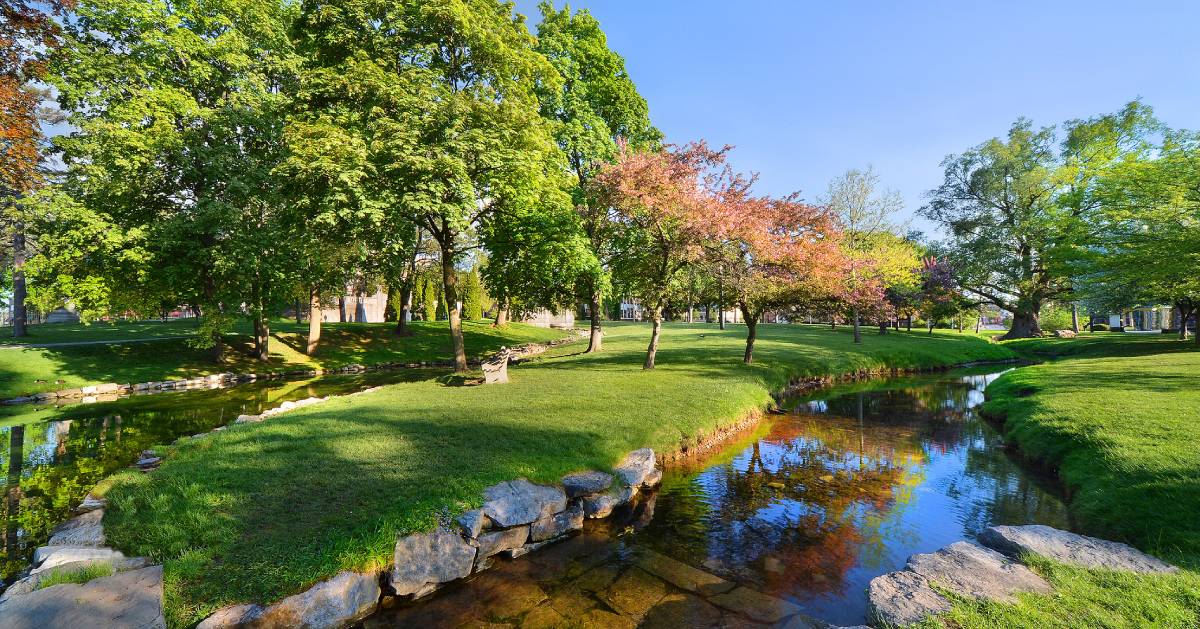 park on a nice day with trees and water