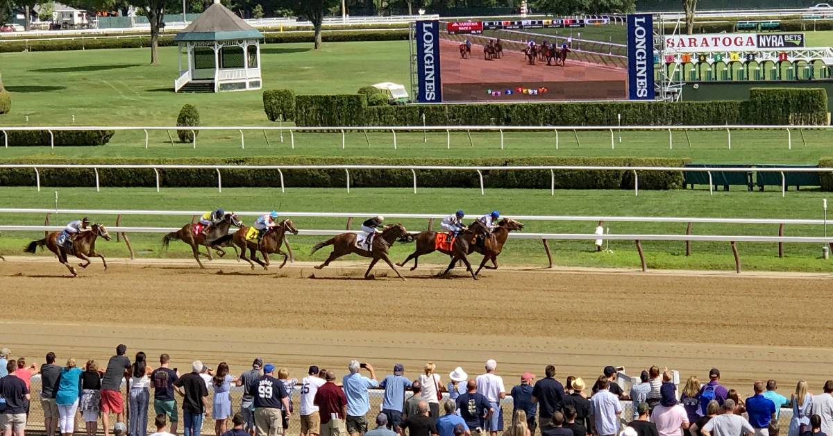 people watching horse racing