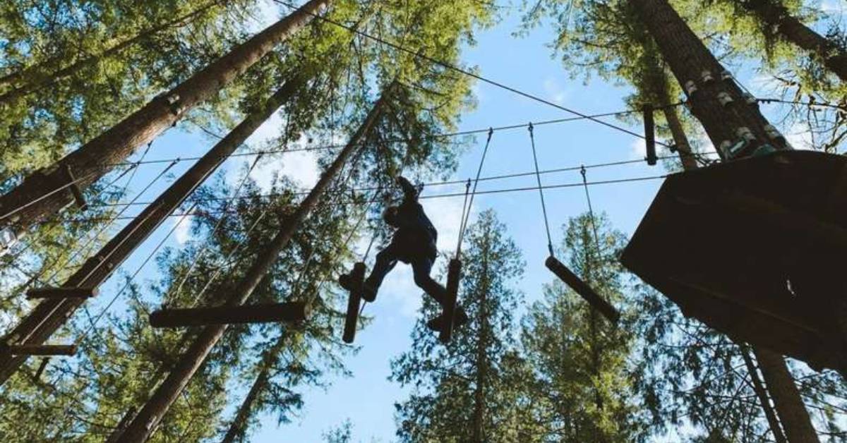 person on a treetop course