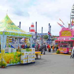 people walking around at a large fair