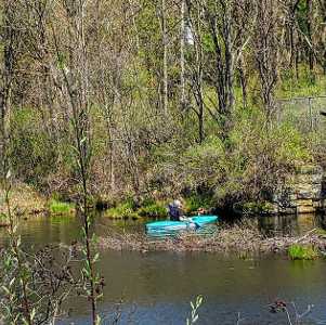 kayaker and bird flying