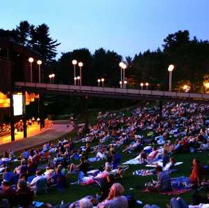 crowd on lawn at spac