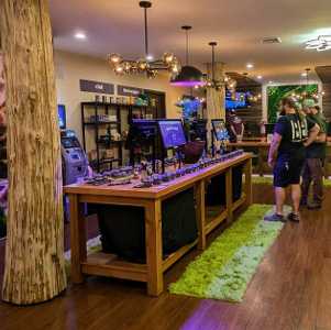 interior of high peaks canna in saratoga springs