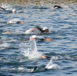 swimming race