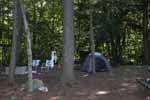 Long Island campsites Number 40,41& 42
