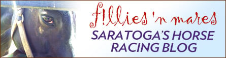 Saratoga Horse Racing Blog: f!llies 'n mares Banner