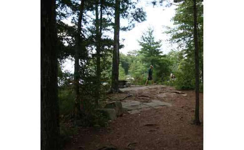 a slightly rocky area in the woods with some people in the back standing around