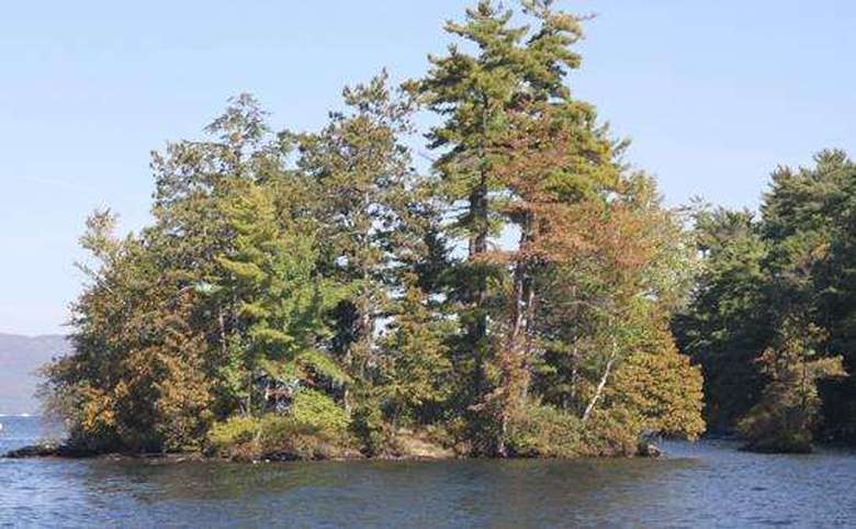 an island with trees with some light fall foliage