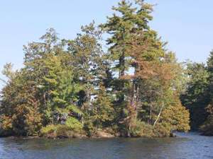 an island with trees with some light fall foliage