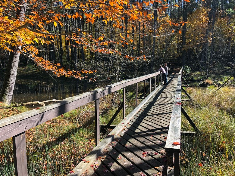 two people standing on a bridge during fall