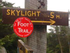 wooden sign that says skylight 0.5m with a red circular trail marker nailed to it