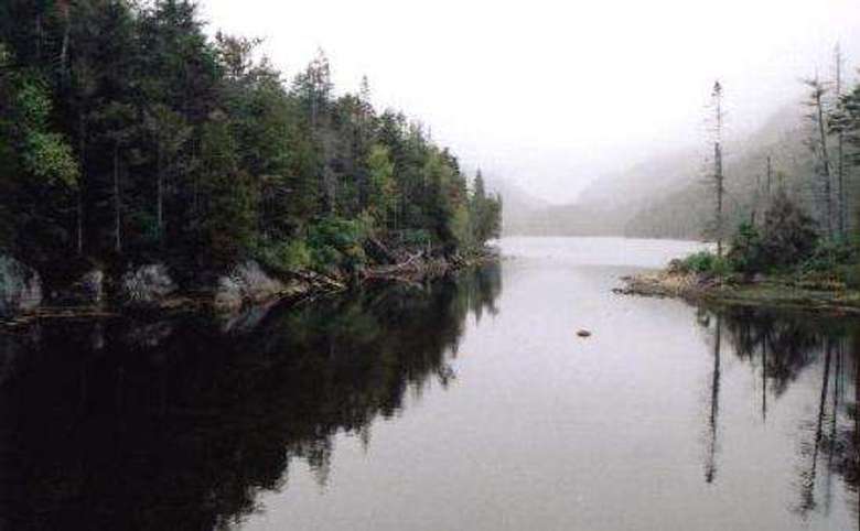 calm body of water surrounded by trees on a cloudy day