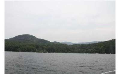 view from a boat of a shoreline with trees and mountains