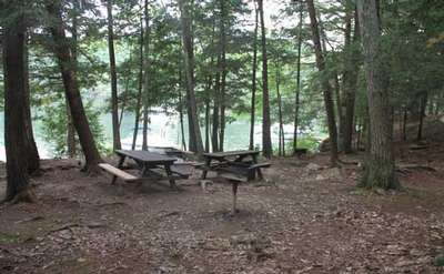 a campsite covered with leaves and there are two picnic tables