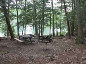 a campsite covered with leaves and there are two picnic tables