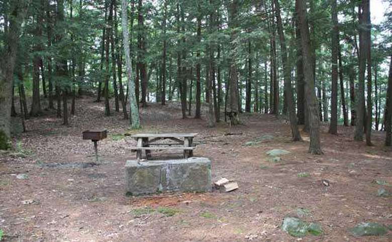 a clearing in the woods with a small picnic table and grill