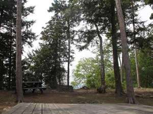 close up view of a tent platform at a wooded campsite