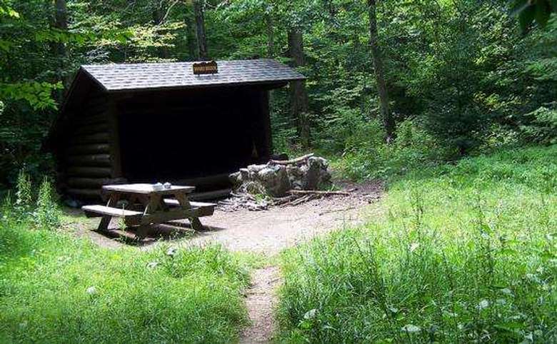 log lean-to in a clearing with a picnic table and a fire pit