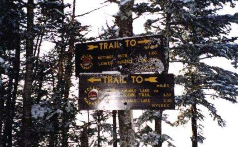two trail signs nailed to trees in the winter